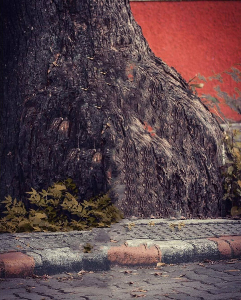 Atharv Raut Snapseed Background For Photo Editing