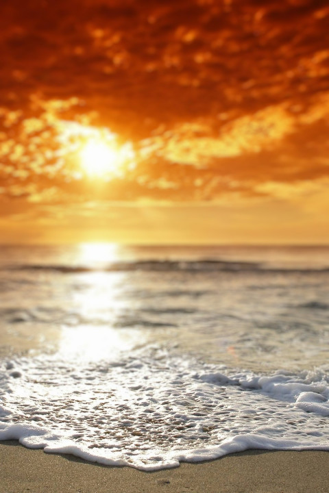 Best Blur Nature Editing Background Downlaod Photos