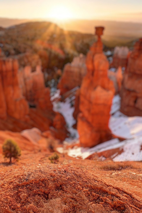 Best Blur Nature Editing Background Downlaod Pic