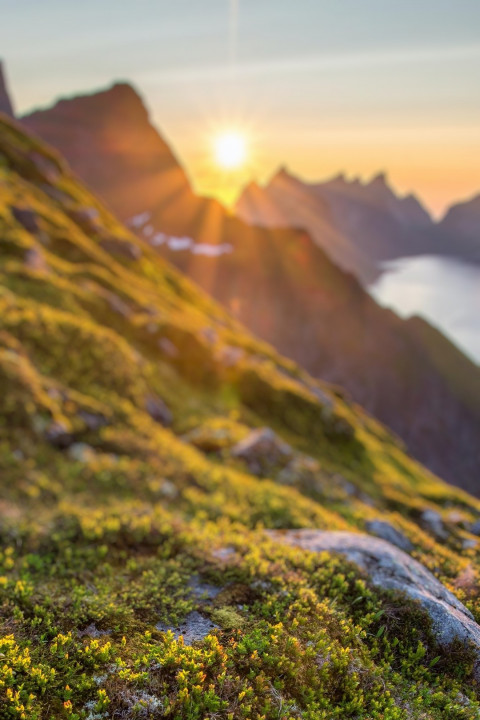 Blur Cb Editing Sunlight Background HD Download Free