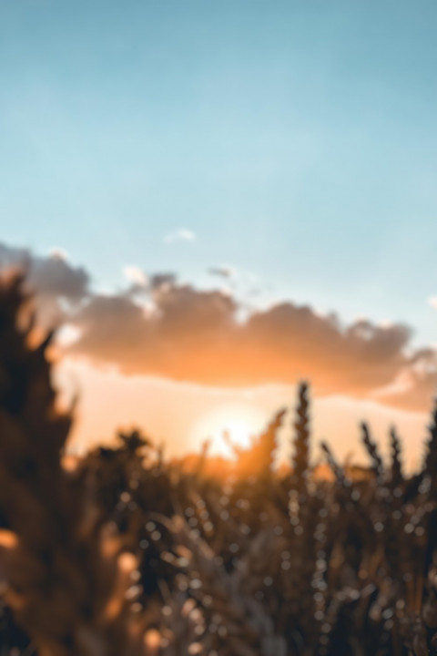 Blur Cb Editing Sunlight Background HD Download Free Images