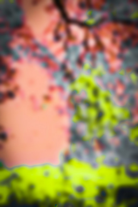 Blur Nature PicsArt New Background Full HD Images