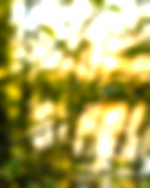 Blur New Photo Editing CB Background Download HD