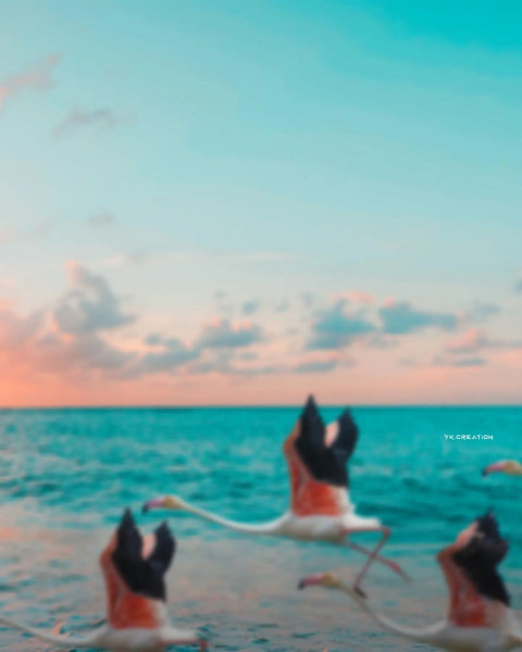 Blur New Photo Editing Snapseed Background Full HD