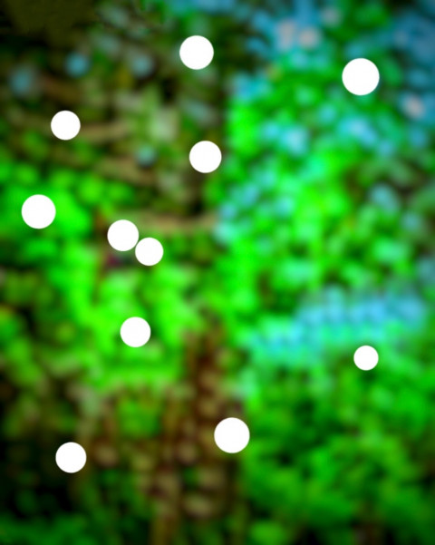 Bokeh Effect Photoshop Background For CB Editing