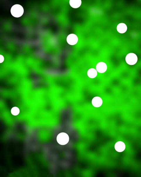 Bokeh Effect Photoshop Backgrounds For CB Editing