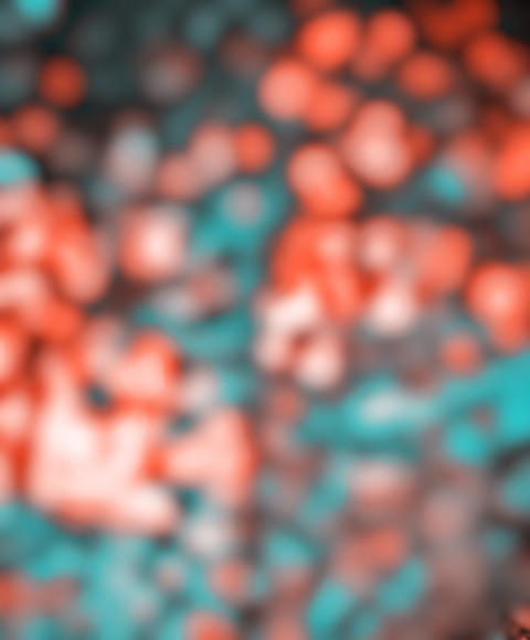 Bookeh Blur CB Background Download For Editing