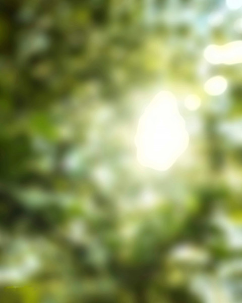 CB Blur Editing Nature Background HD Download Free