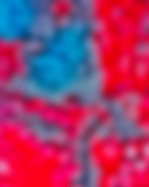 CB PicsArt Photo Editing New Background