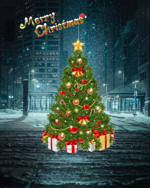 Christmas Tree Editing Background Hd PicsArt Cb photo