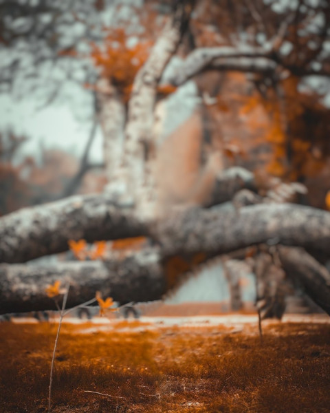 Creative Taukeer Editz Background CB Picsart HD