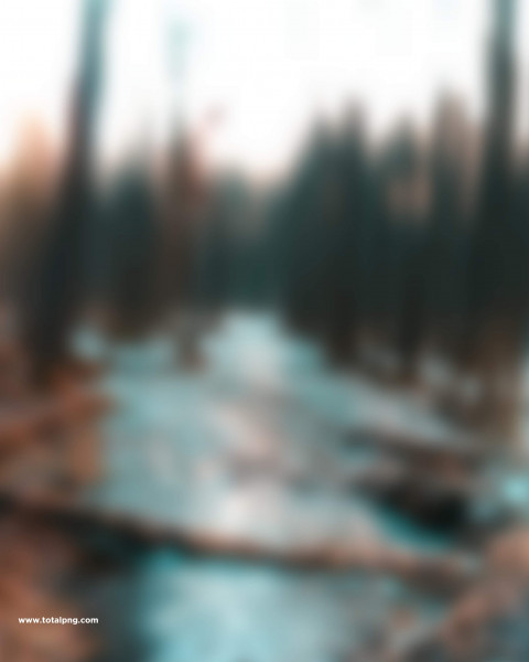 Dark Blur CB Photo Editing HD Forest Background