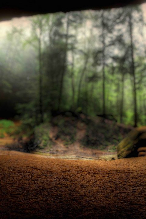 Dslr Background For Picsart & Photoshop Editing