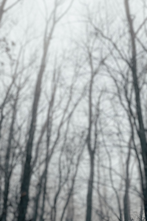 Dslr Blur Photo Editing Cb Background Download Free Pic
