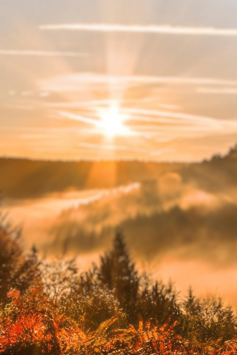 Dslr CB Editing Sunrise Phone Wallpapers PicsArt Background
