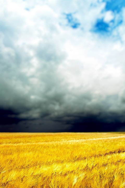 Dslr Photoshop Blur Photo Editing Background HD New
