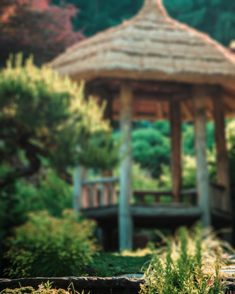 Garden Photo Editing Nature Editing Background Pics