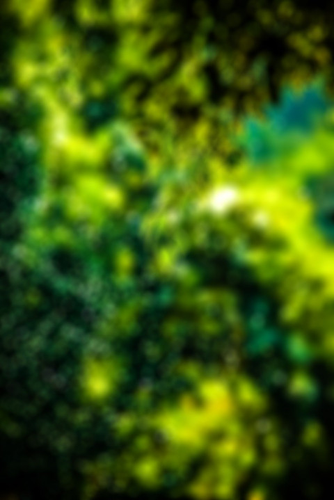 Green Forest CB Picsart Background HD For Photoshop Editing Free