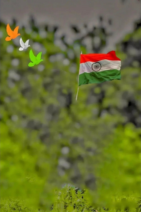 Happy Independence Day CB Background For Picsart Photo Editing New