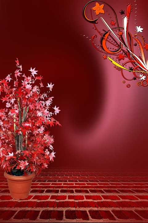 Home Studio Background Download Full HD New