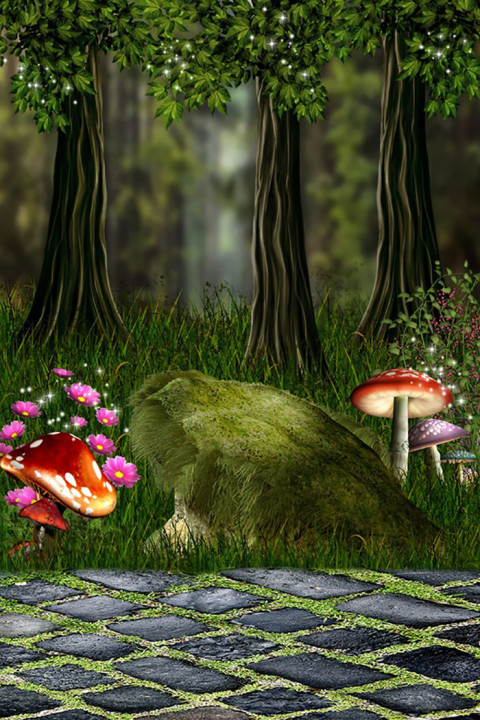 Indoor Flower Studio Album Background HD Download Img