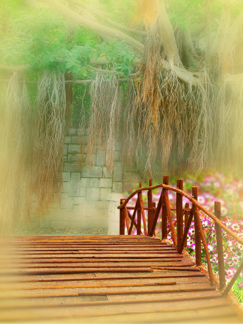 Indoor Free Download Studio Background Images Image