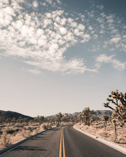 Instagram Trending Road Background For Picsart & Photoshop