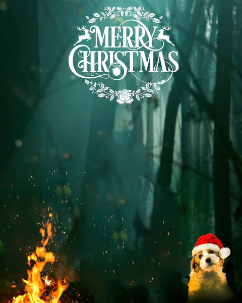 Merry Christmas Day CB PicsArt Editing Background