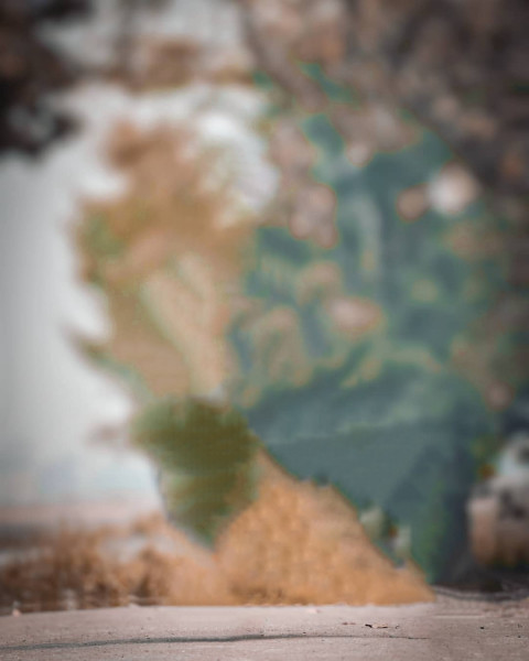 Nature Autodesk CB Blur Background For Photo Editing New