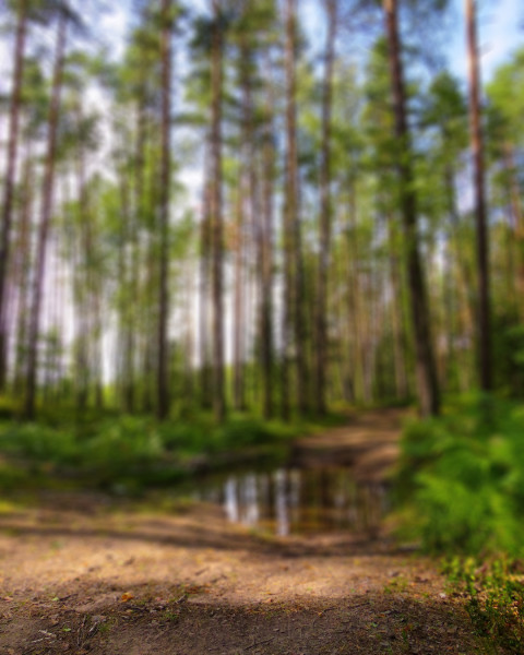 Nature Blur CB Editing Background Download Full HD