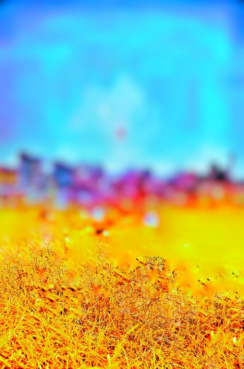 Nature CB photo Editing Blur Background Download Free Full HD