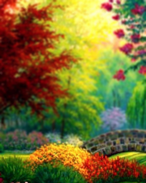 Nature Flowers CB Blur Background For Photoshop Editing Full HD