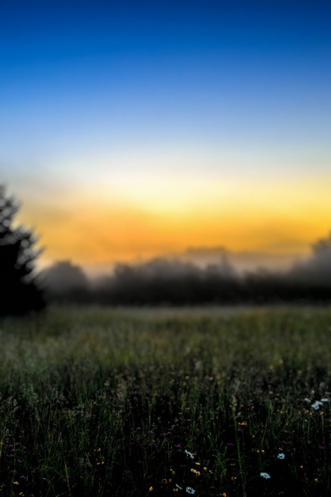 Nature Photo Editing Background download Pic
