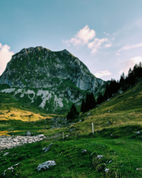 Nature Photo Editing CB Picsart Background Download Pic