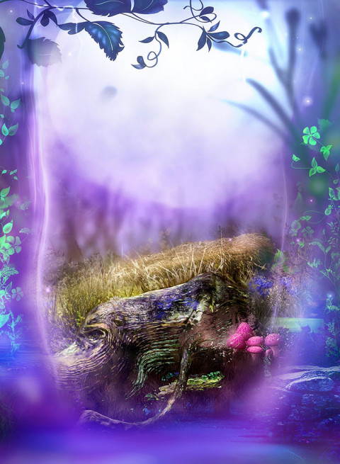 Nature Photo Studio Background HD Images  Pics