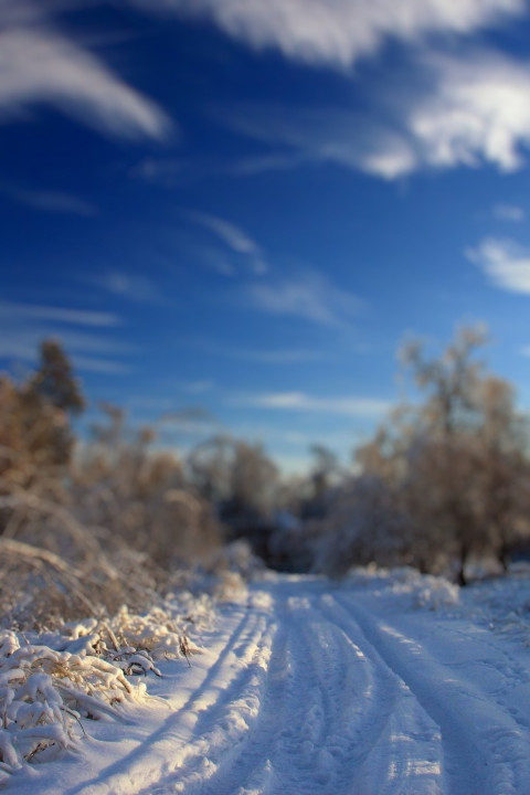 Nature Photoshop Dslr Editing Background Download Photos