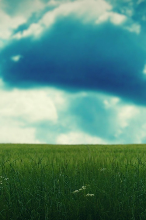 Nature Photoshop Dslr Editing Background Download Pic
