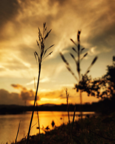 Nature Photoshop Editing Background Download Full HD