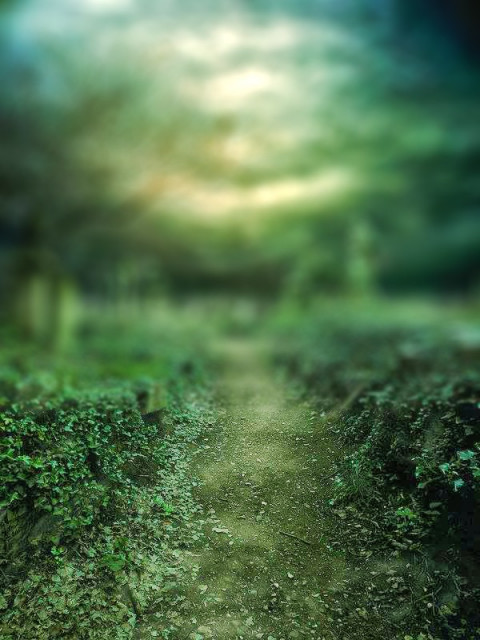 Nature Photoshop Photo Editing CB Background Download Pic
