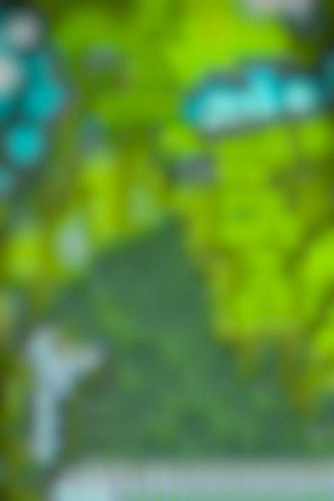 NAture Picsart Editing HD New Background Download Free