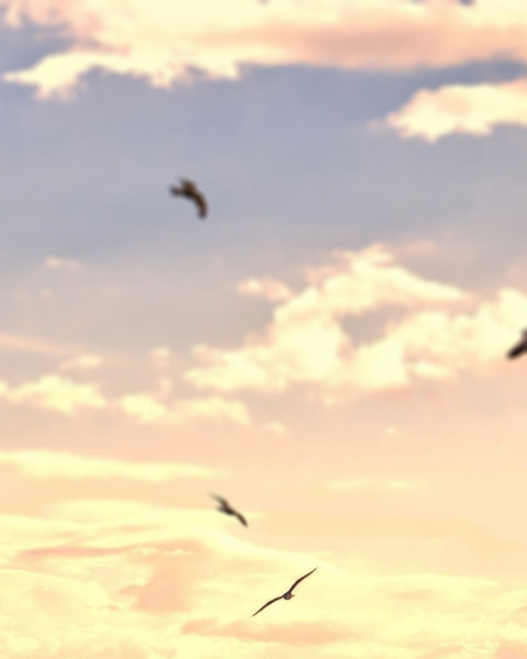 Nature Sky Photo Editing Background Download