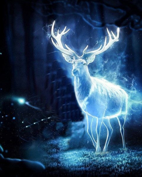 Neon Light Deer Background For Photo Editing