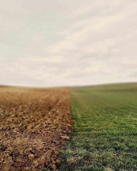 New Nature CB Editing Background HD For PicsArt