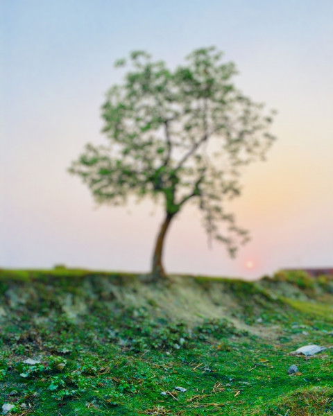 Photoshop Nature Background HD Downloaad For CB Editing  Free