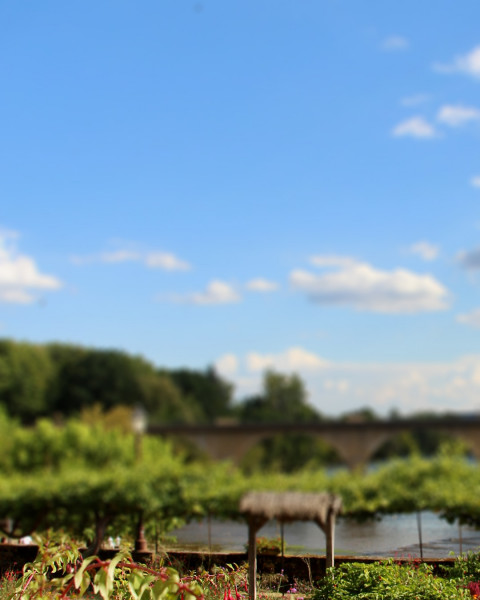 Photoshop Nature Photo Editing Garden Background