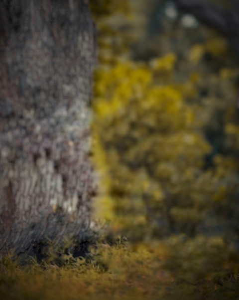 Picsart Background Full HD For Snapseed Editing
