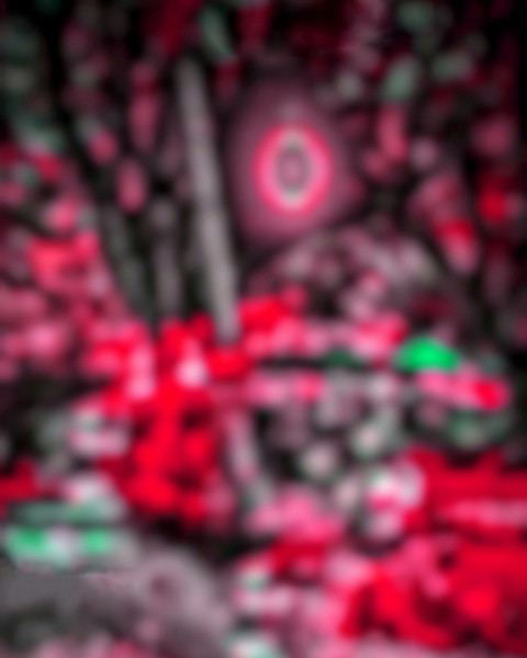 PicsArt CB Editing Red Forest Background HD