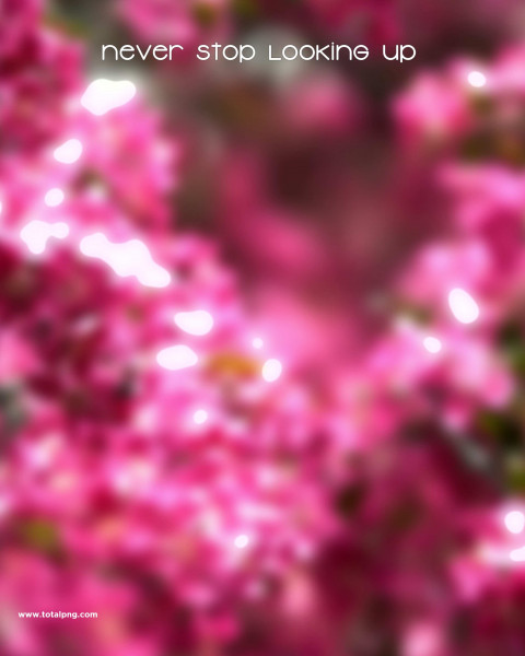 Picsart HD Photo Editing Background Download Pics