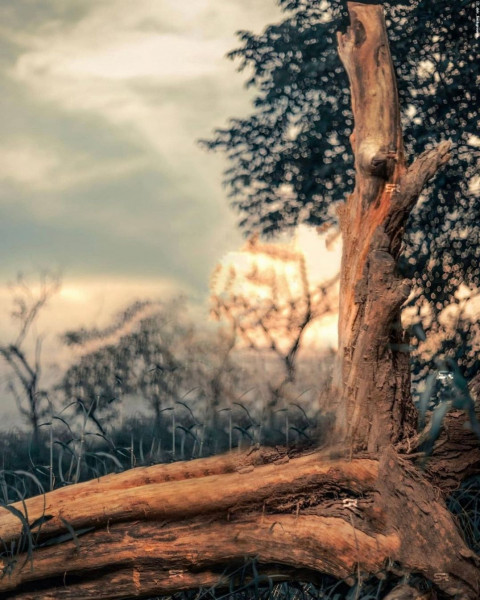 Pranav PG Background Download Full HD For Photo Editing