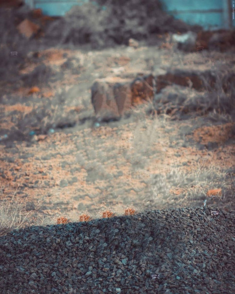 Pranav PG Background HD For Snapseed Photo Editing